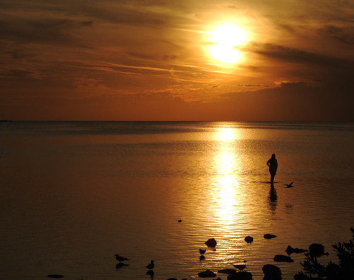 sunset beach water goldenhour florida sun pineisland