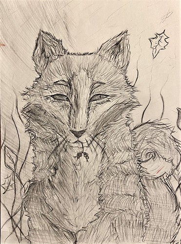 Drawn Fox by Sierra White | by Alachua County Library District