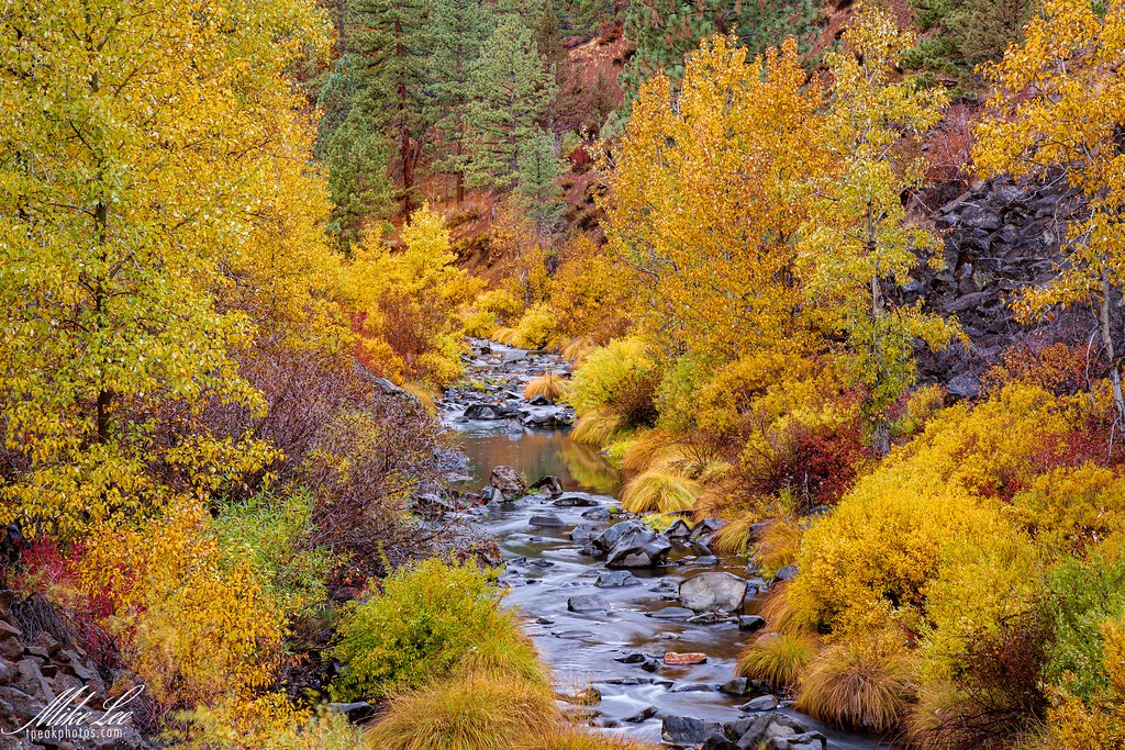 Susan River Fall Colors
