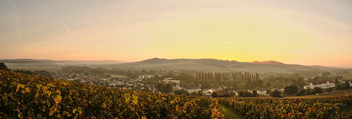 Fall sunrise by ZeGaby, champagne colors fujifilm fujinon1855mm landscape marne montagnedereims naturephotography panorama p