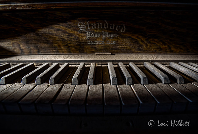 Morning light on the old ivories