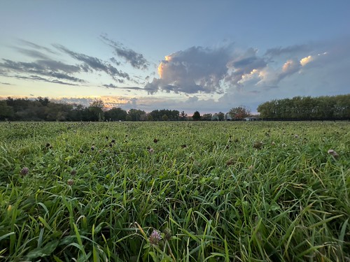 Sunset by kevitra, 