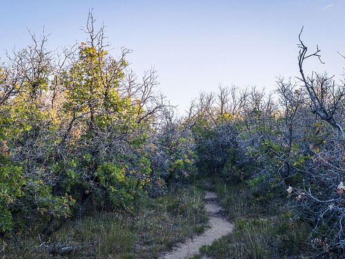 mesaverde mesaverdenationalpark mesaverdenp pointlookout dawn trail sunrise hiking colorado