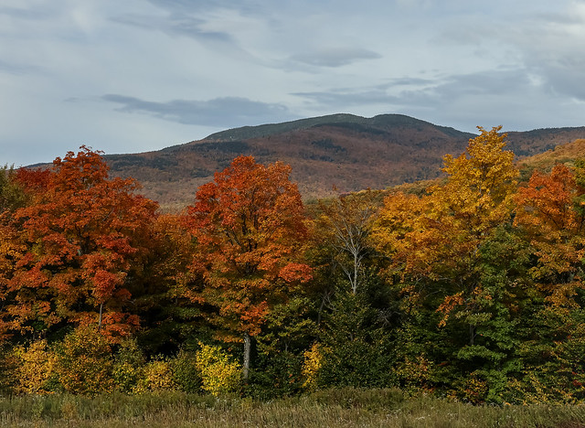 Near Smugglers' Notch, Vermont, Fall, 2021