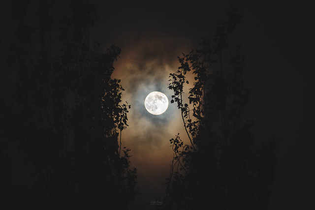 Full Moon [In Explore]