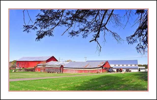 A Long Row of Michigan Red Barns (Revisited)