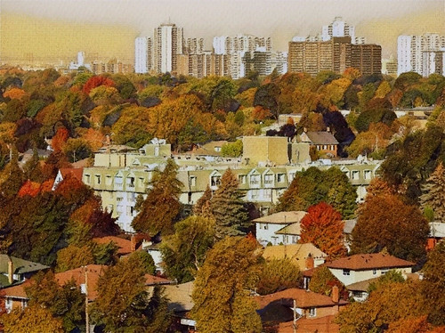 urban scenery landscape view trees autumn rooftops buildings structures colorful texture