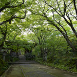 Jōjakkō-ji 常寂光寺