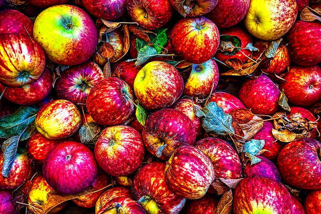 Fall Apples