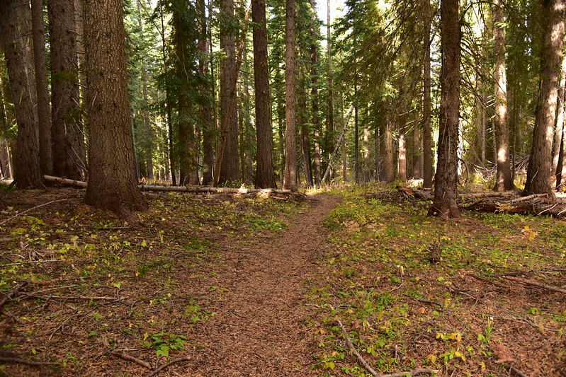 Upper Wenaha Hike