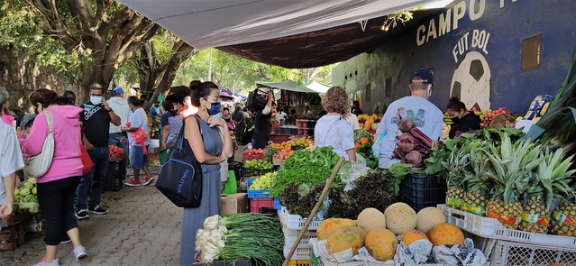 Wednesday Market - Ajijic, Jalisco, Mexico