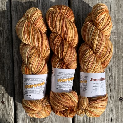 The newest Koigu Collector’s Club yarn arrived! The October yarn is Harvest on the new Jasmine base. It is a 3 Ply DK yarn that is 100% Merino with 242 yards.