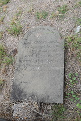 Thomas Crooks Gowan Grave