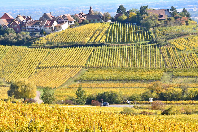 Zellenberg (Alsace, F)