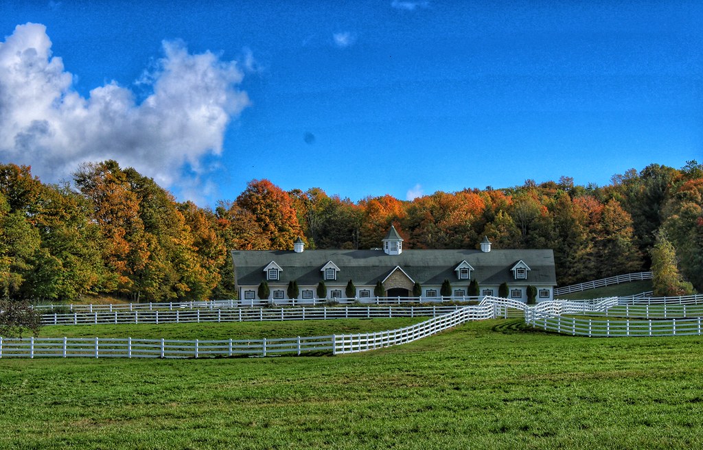 Horse farm in early fall, Pierport, Michigan