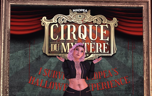 I survived The Circus!