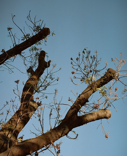 Untitled | by bou-vie