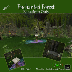 Enchanted Forest - BDonly