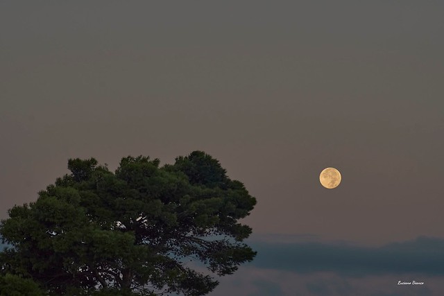 Alba con tramonto della luna, Pizzolungo 2021:10:21 07:20:39