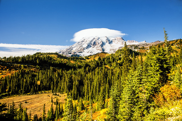 Mount Rainier Rises Above Paradise Valley