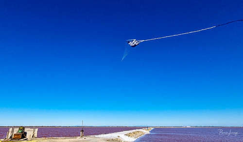 Kite Aerial Photography in Camargue | by Pierre Lesage