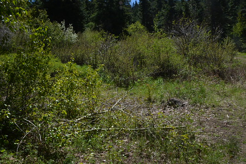 High lake