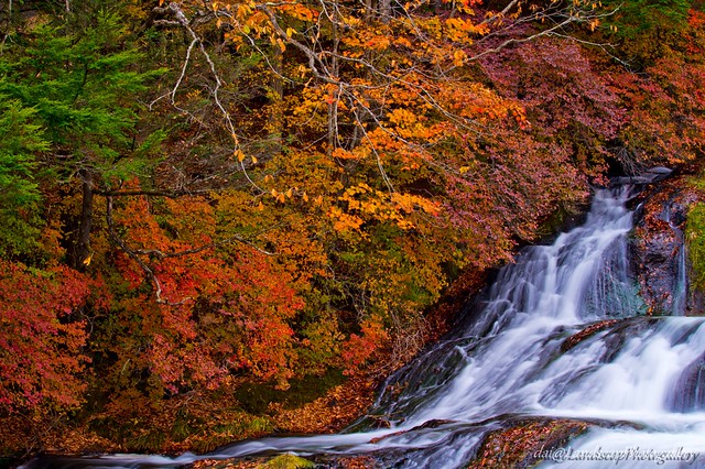 秋彩の 竜頭ノ滝
