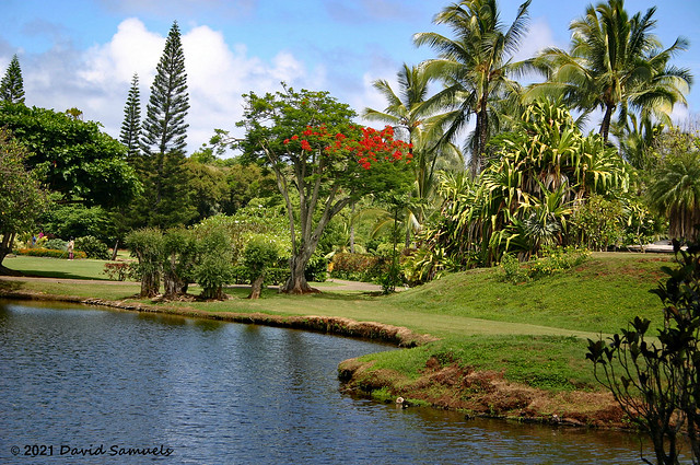 Kauai SG SR2-01 Botanical Garden Scene