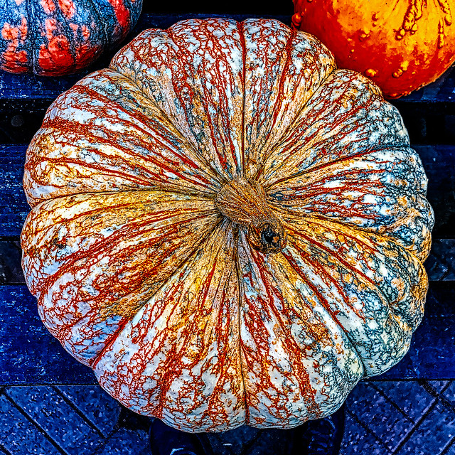 Colorful Pumpkin