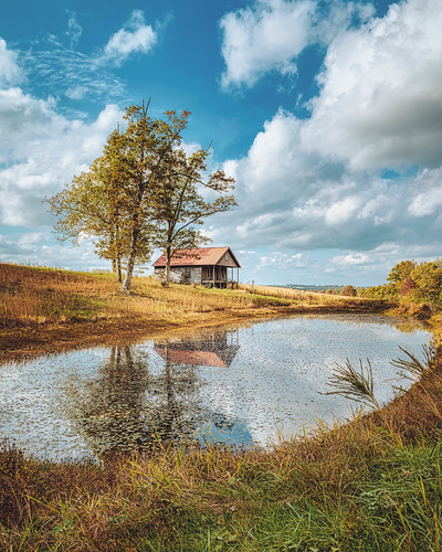 Tin roof and lily pond. Newton County, Arkansas. 2021. by BradSimsPhoto, ruraldecay building 2021 naturalstate wanderfar fall nikkor2470mm arkansas lilypads abandoned outsid