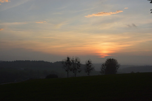 kröftel sundown sunset abendrot silhouette idsteinerland hessen taunus germany misteltoe misteln nikon d7100