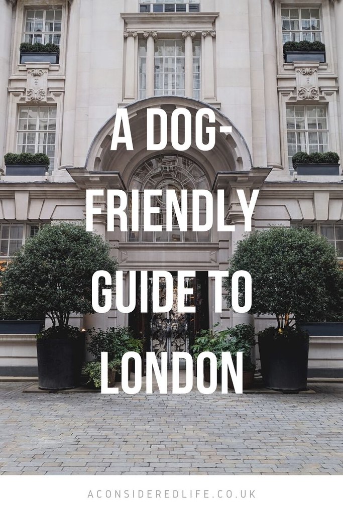 A Dog-Friendly Guide To London