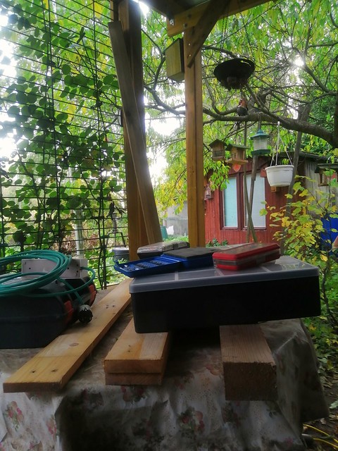 Grüße aus meinem Garten, bin gerade dabei mir eine Outdoorküche hier zu bauen , +8 ° und Sonne 🌞