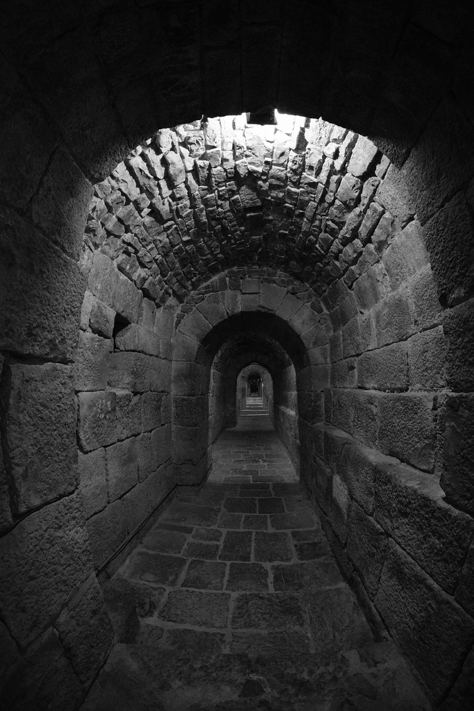XE3F9625 - Tunel de San Virila – San Virila tunnel (Monasterio de Leyre, Navarra)