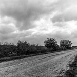 Country Road Gravel Road in Wharton County, Texas

&lt;a href=&quot;https://fineartamerica.com/featured/country-road-corey-leopold.html&quot; rel=&quot;noreferrer nofollow&quot;&gt;fineartamerica.com/featured/country-road-corey-leopold.html&lt;/a&gt;