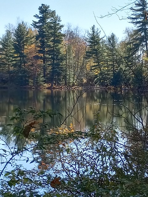 Our Adirondack pond
