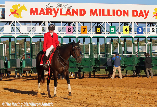 Maryland Million day. Photo by Allison Janezic.