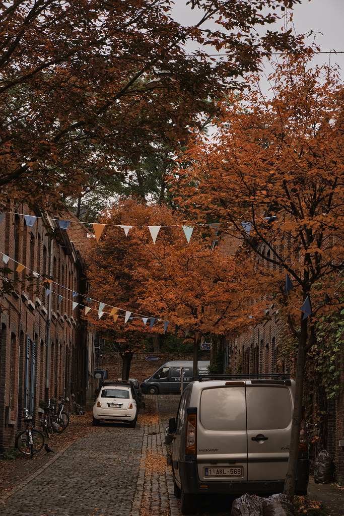 Autumn in Leuven