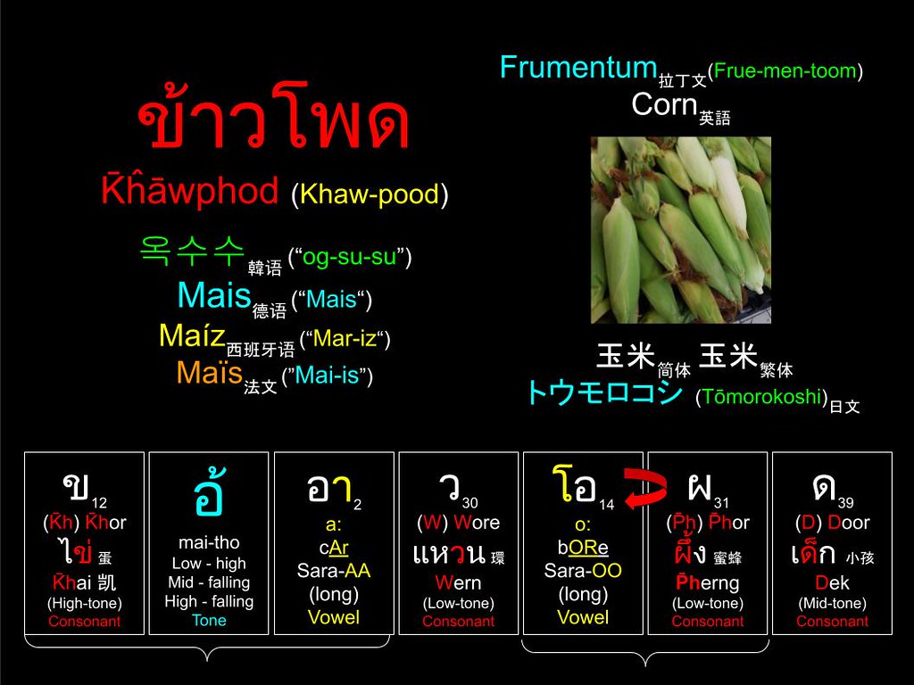 Word of the Day: ข้าวโพด (Khaw-pod) 玉米 (玉米) Corn トウモロコシ (Tōmorokoshi) 옥수수 (“og-su-su”) Mais (Jagung)