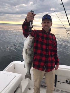 Photo of man on a boat holding a striped bass