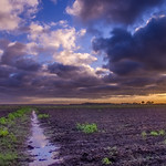 Clouds in the Morning Morning Clouds over row crop farmland on the Texas Gulf Coastal plain.

&lt;a href=&quot;https://fineartamerica.com/featured/clouds-in-the-morning-corey-leopold.html&quot; rel=&quot;noreferrer nofollow&quot;&gt;fineartamerica.com/featured/clouds-in-the-morning-corey-l...&lt;/a&gt;