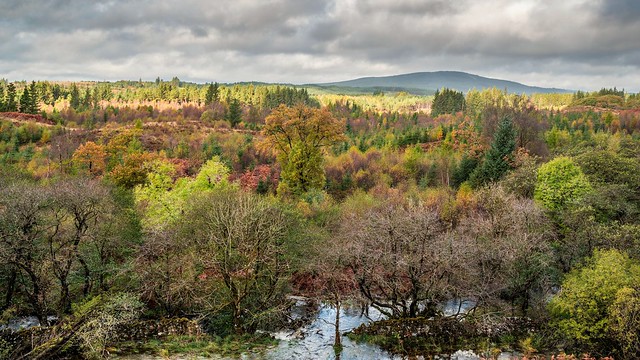 Galloway forest Park.