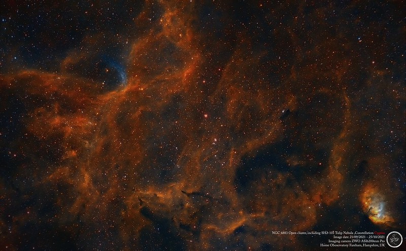NGC 6883 Open Cluster, SH2-101 Tulip Nebula