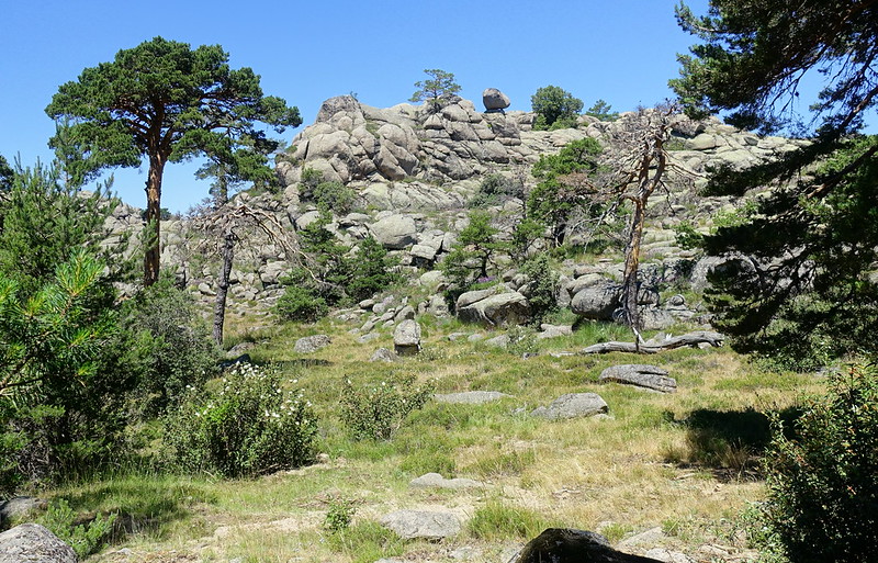 Mirador de la Naranjera desde Peguerinos: la mejor vista de Cuelgamuros. - Comunidad de Madrid: pueblos, rutas y lugares, incluyendo senderismo (14)