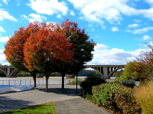 Fall colors and Key Bridge