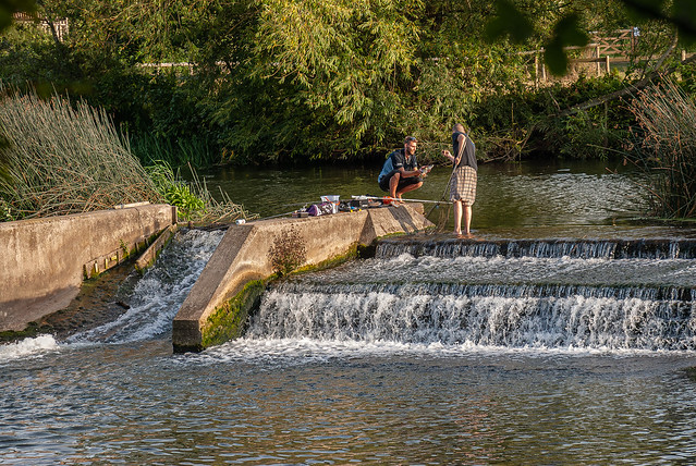 Fishing on the Jolly Sailor Weir