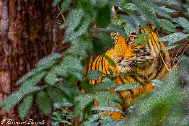 Le Tigre de Bengale (Inde) - Stylized as Oil Paint