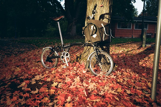 Bromptons and Fall Color at Tualatin Community Park, 15 Oct 2021