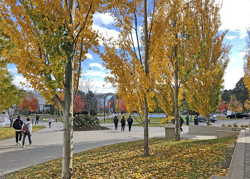 Fall outside Brown Family House of Learning