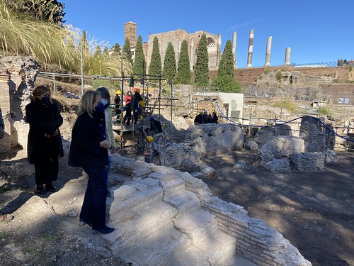 RARA 2021. Pendici nord-orientali del Palatino - Scavo condotto all’interno del Parco Archeologico del Colosseo. ParCo (21/10/2021), M. T. D'Alessio (2020-21), C. Panella et al (2020-21) & C. Panella in: New York Times  (12 August 2015): C5.